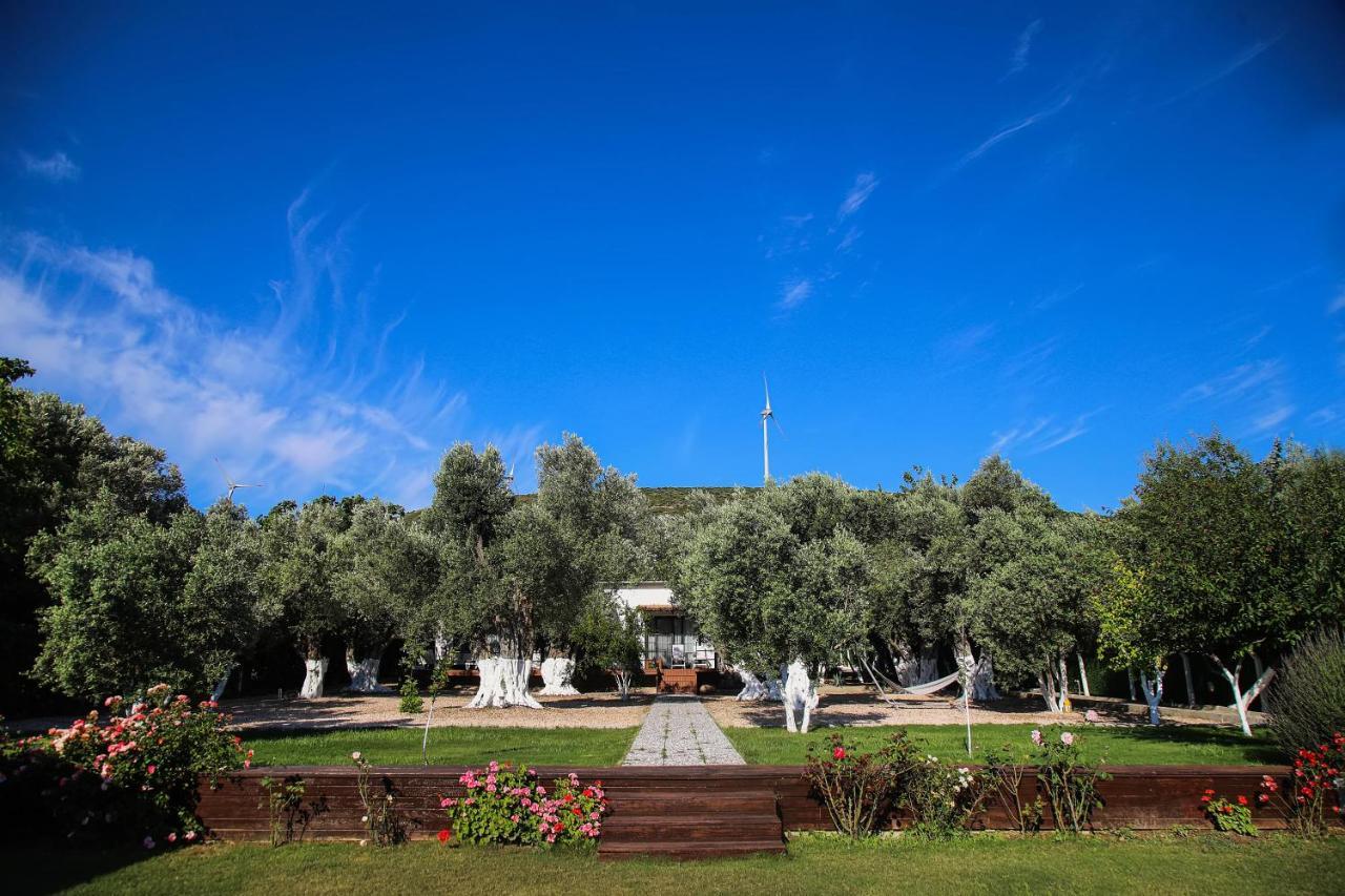 Enki Suess Αλακάτι Εξωτερικό φωτογραφία